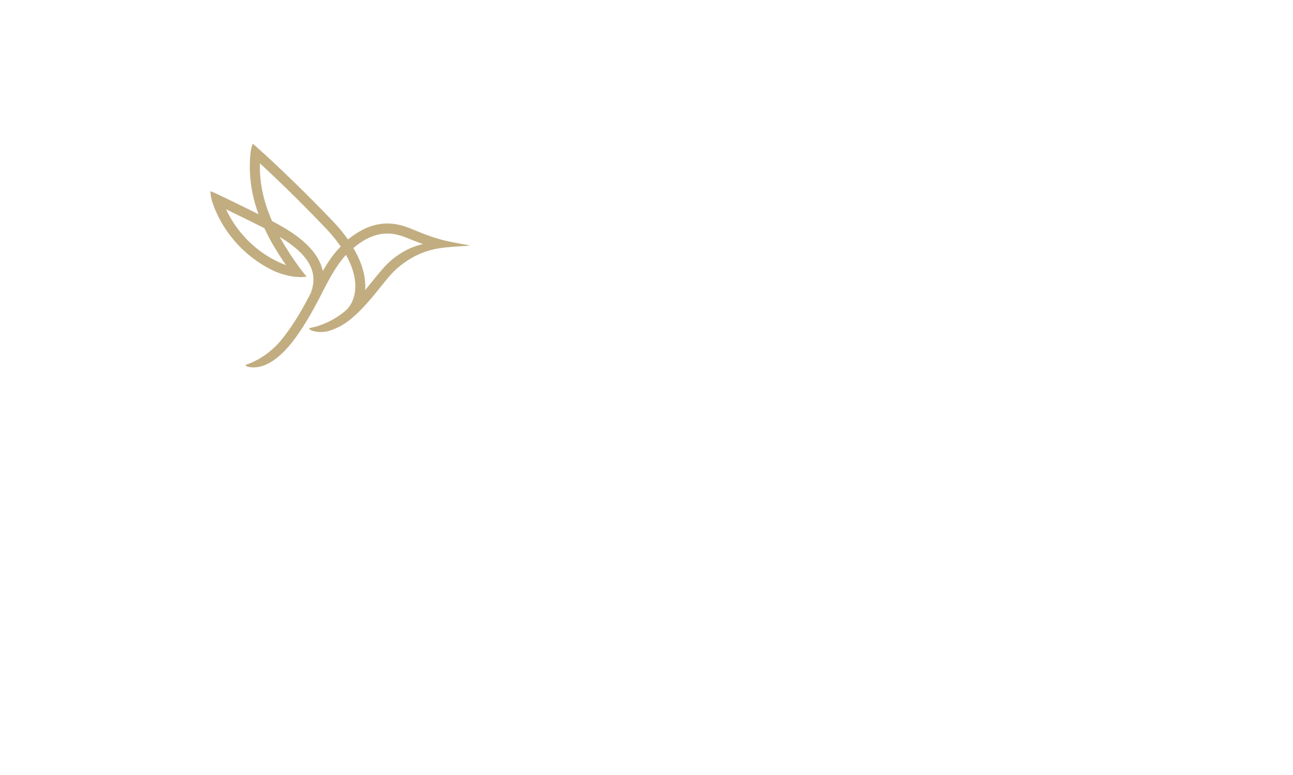 Allied logo